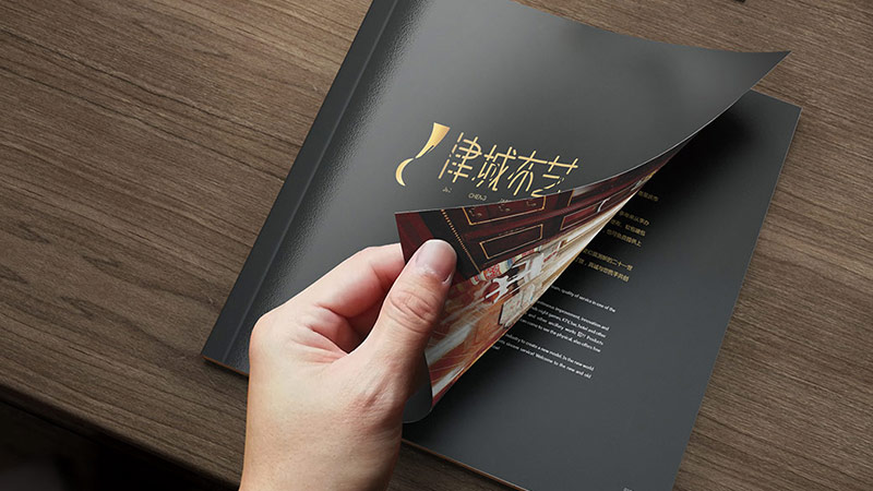 長(cháng)沙畫冊設計 ，津城布藝标志設計，畫冊設計 