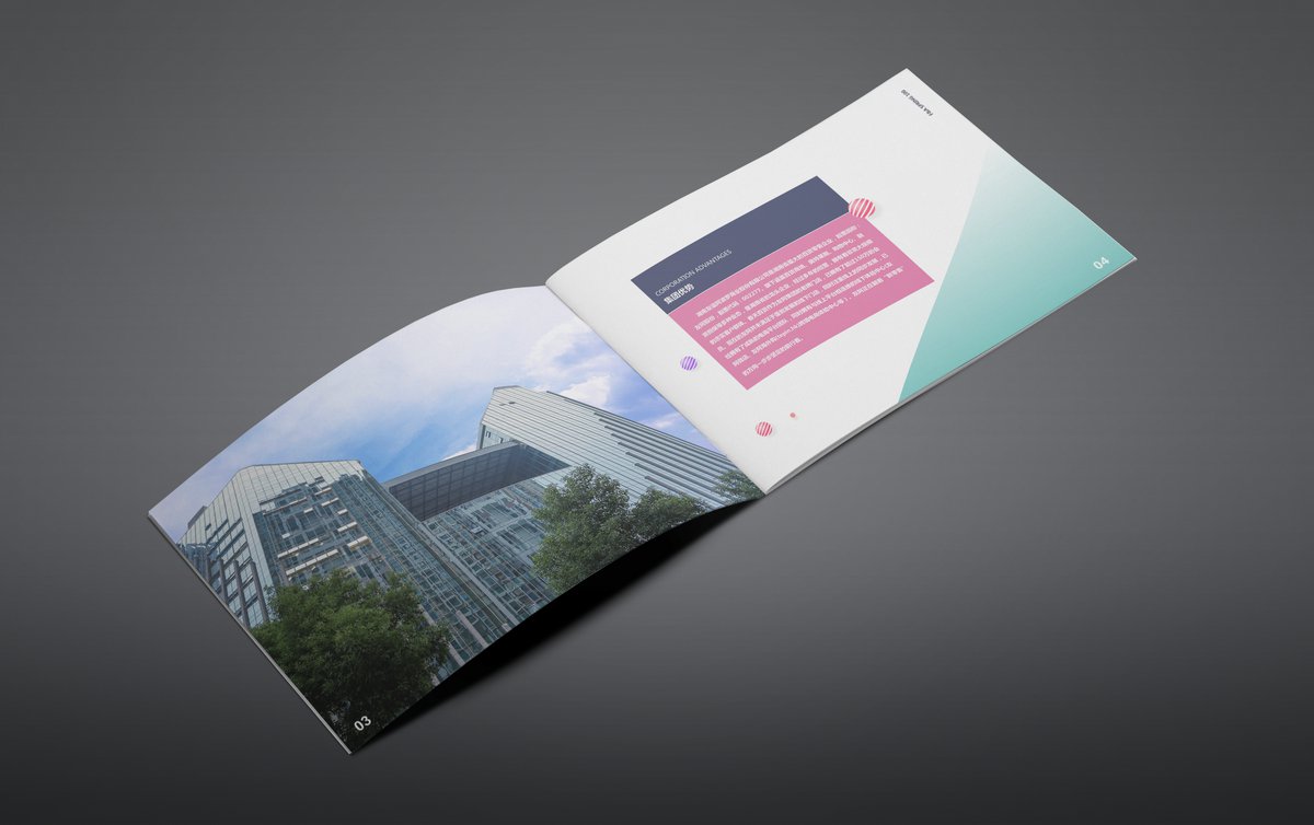 長(cháng)沙招商畫冊設計