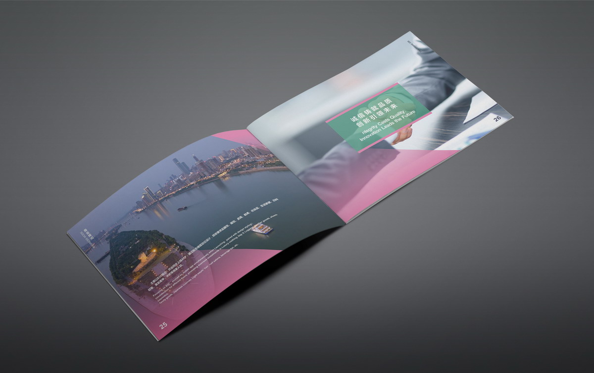 長(cháng)沙招商畫冊設計