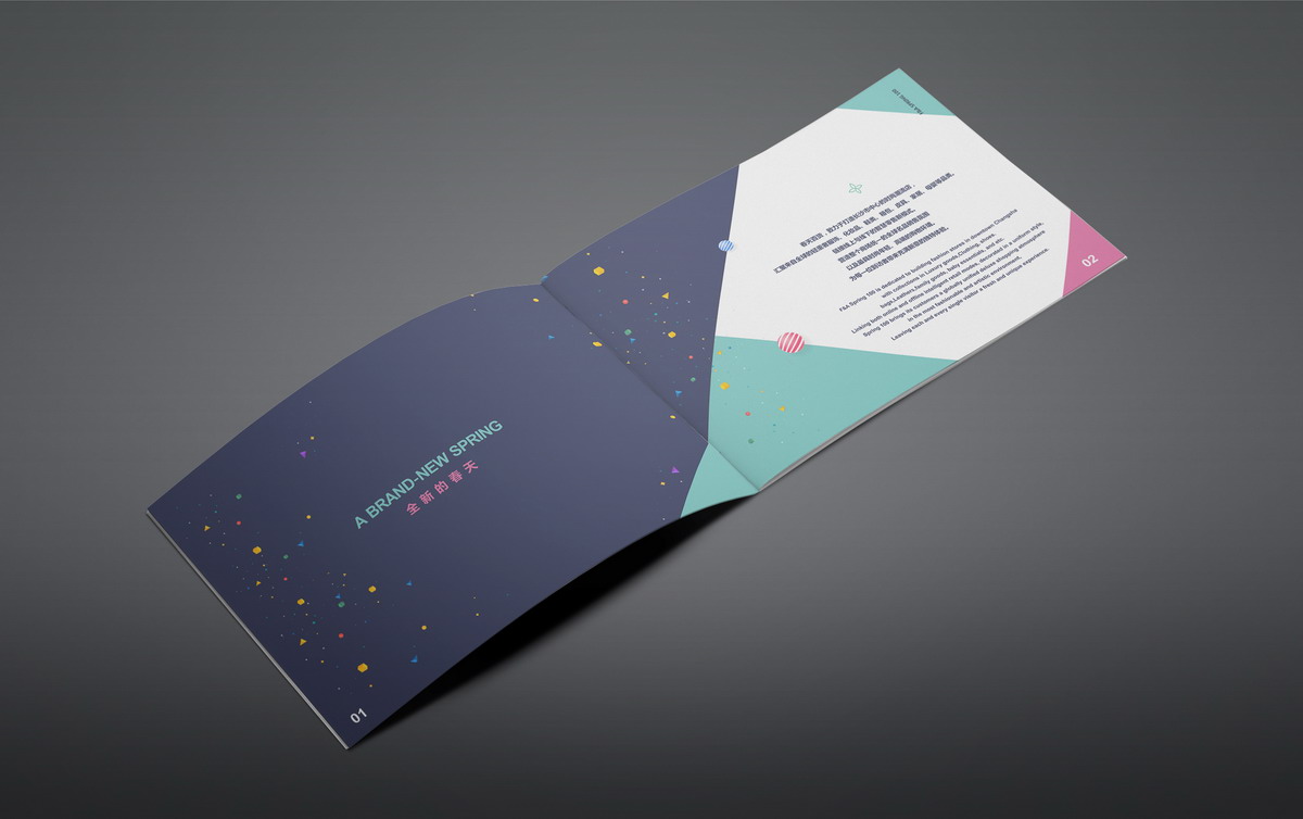 長(cháng)沙招商畫冊設計