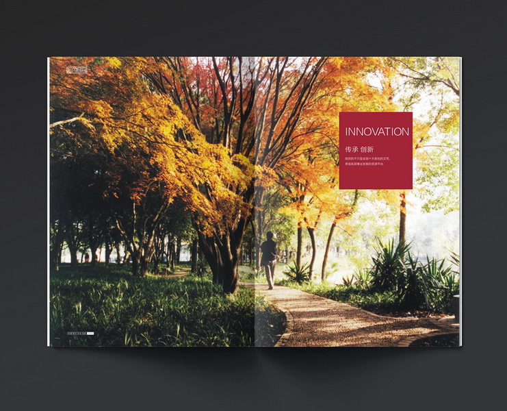 華中科技大學(xué)EMBA畫冊設計
