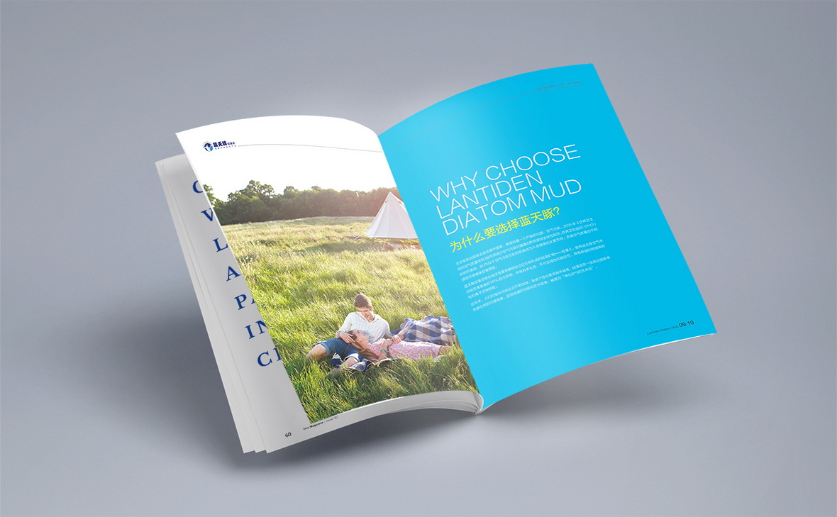 長(cháng)沙矽藻泥畫冊設計