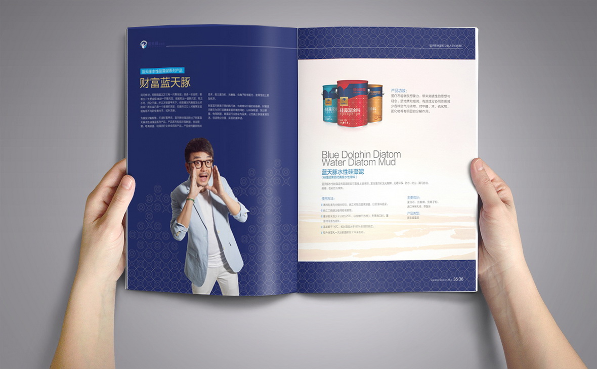 長(cháng)沙矽藻泥畫冊設計