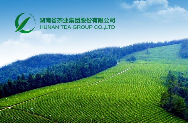 簽約湖南省茶業集團股份有限公司小程序設計