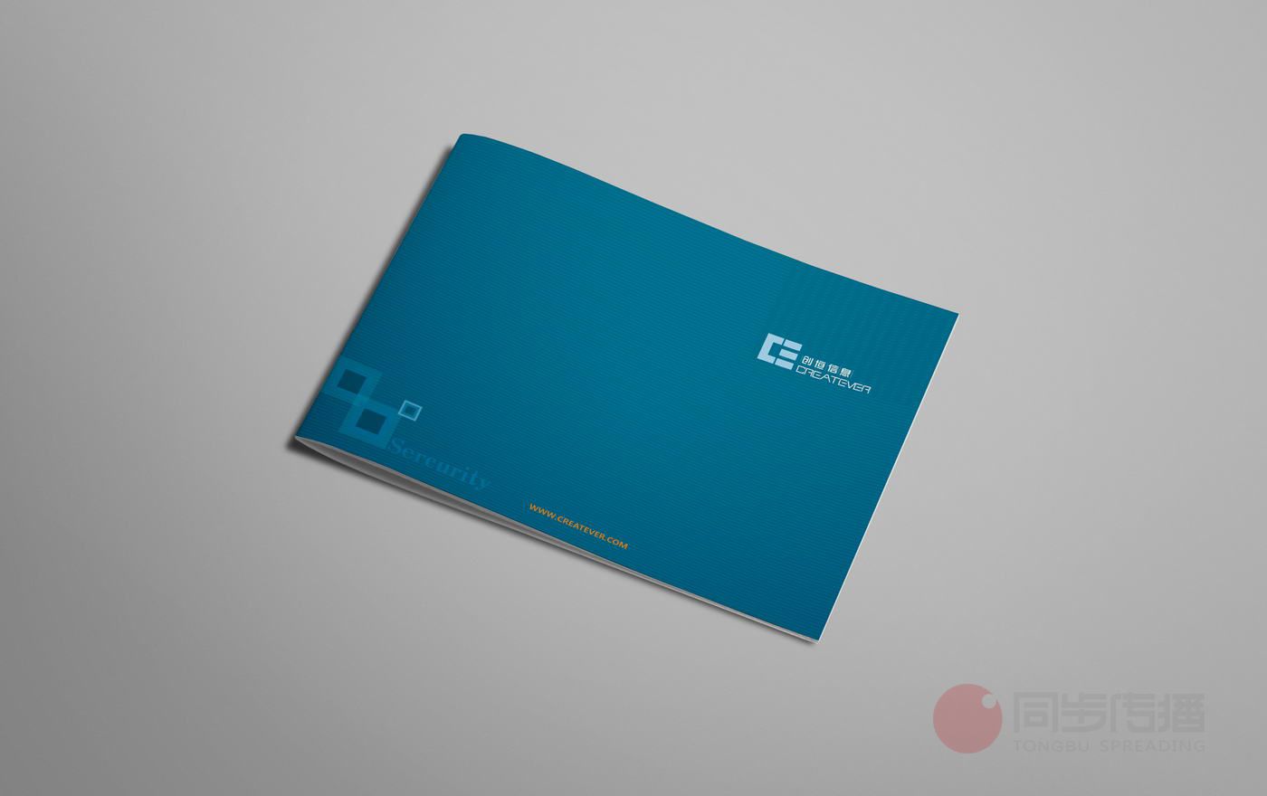 長(cháng)沙信息企業畫冊設計