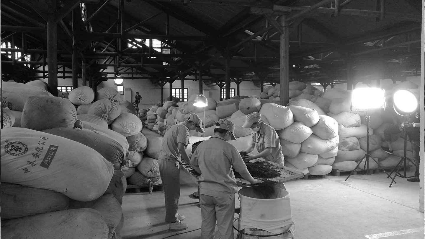 長(cháng)沙茶業宣傳片拍攝