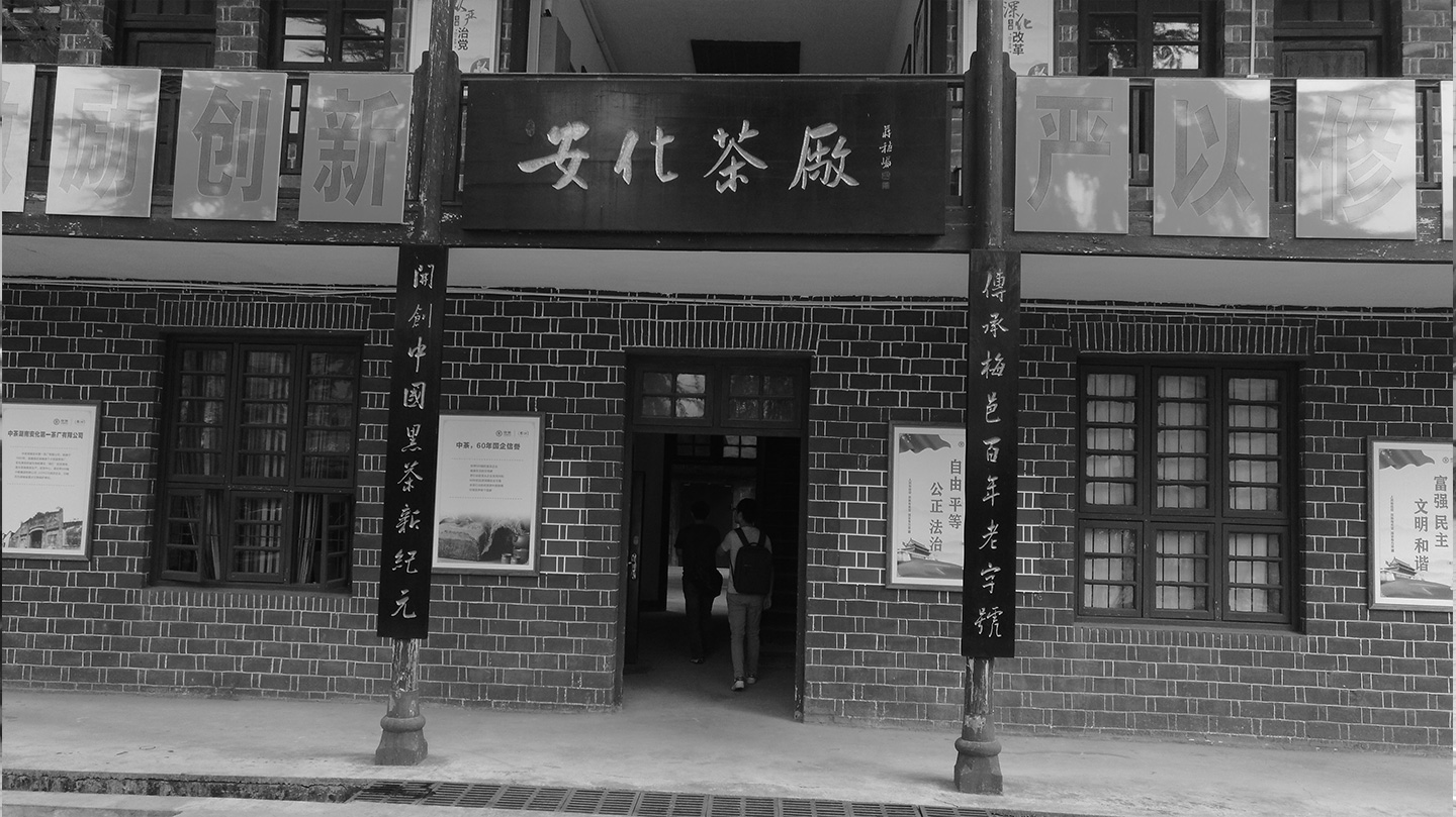 安化黑茶宣傳片拍攝