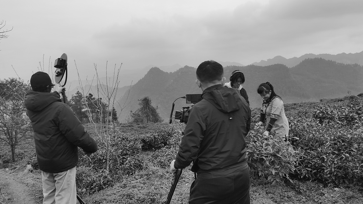 中茶黃金茶宣傳片拍攝花絮
