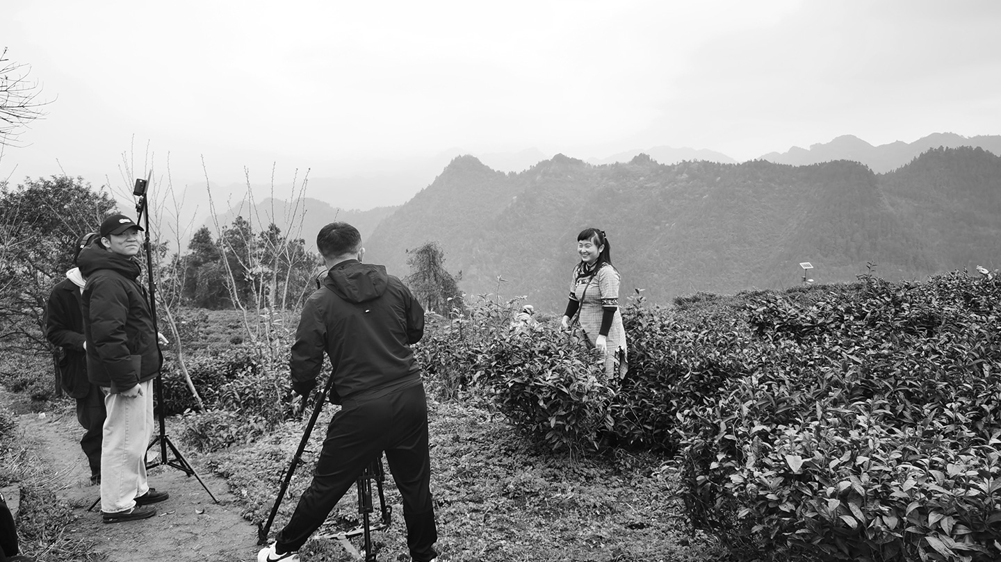 中茶黃金茶宣傳片拍攝花絮