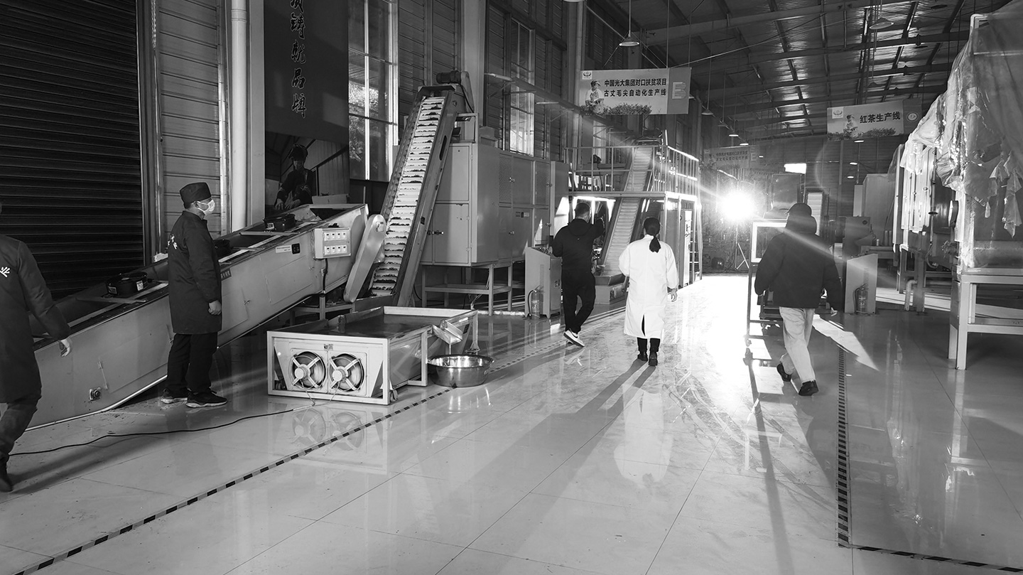 中茶黃金茶宣傳片拍攝花絮