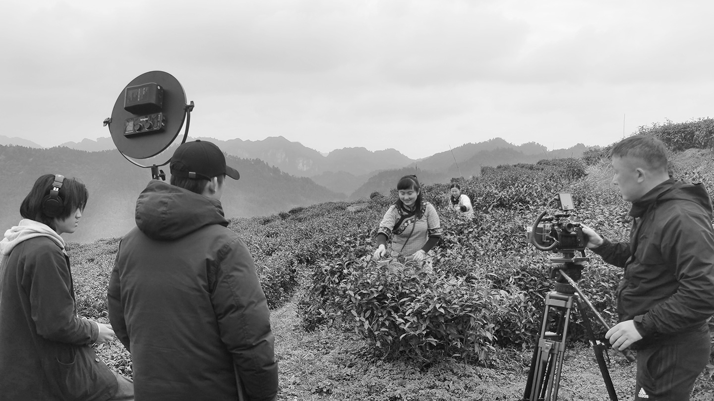 中茶黃金茶宣傳片拍攝花絮