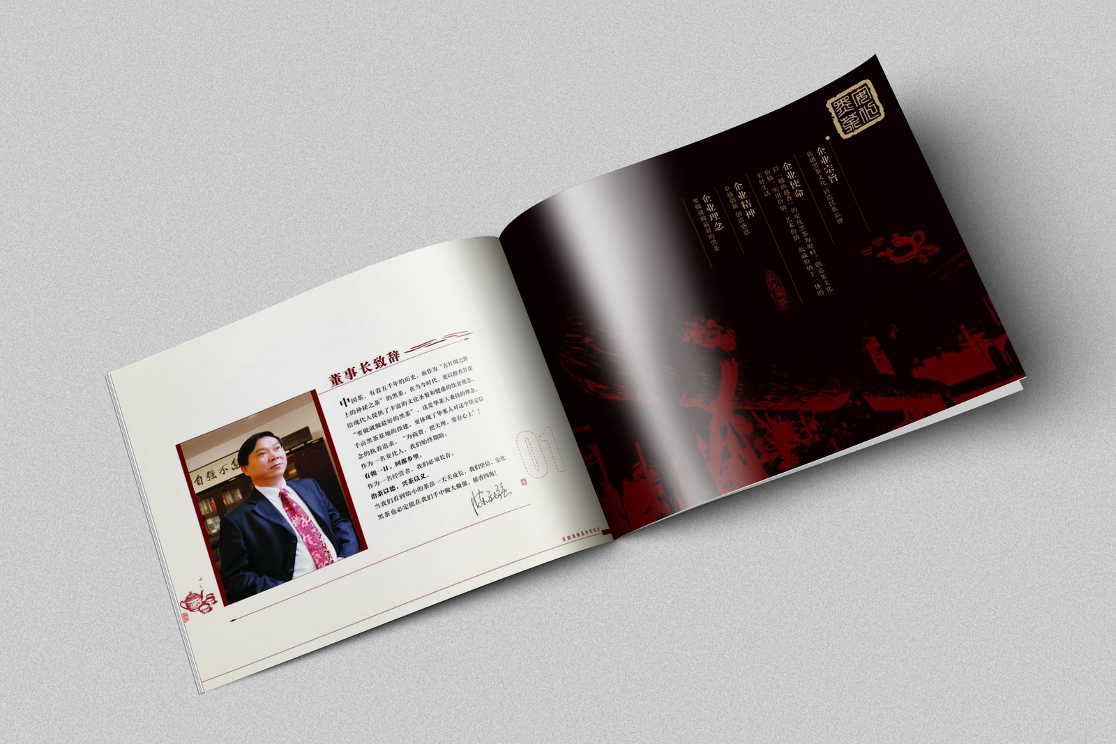 華萊生物畫冊設計