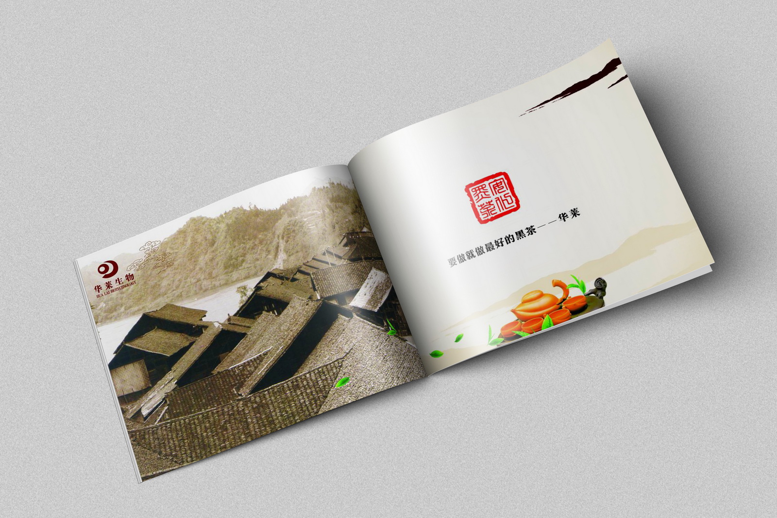 華萊生物畫冊設計