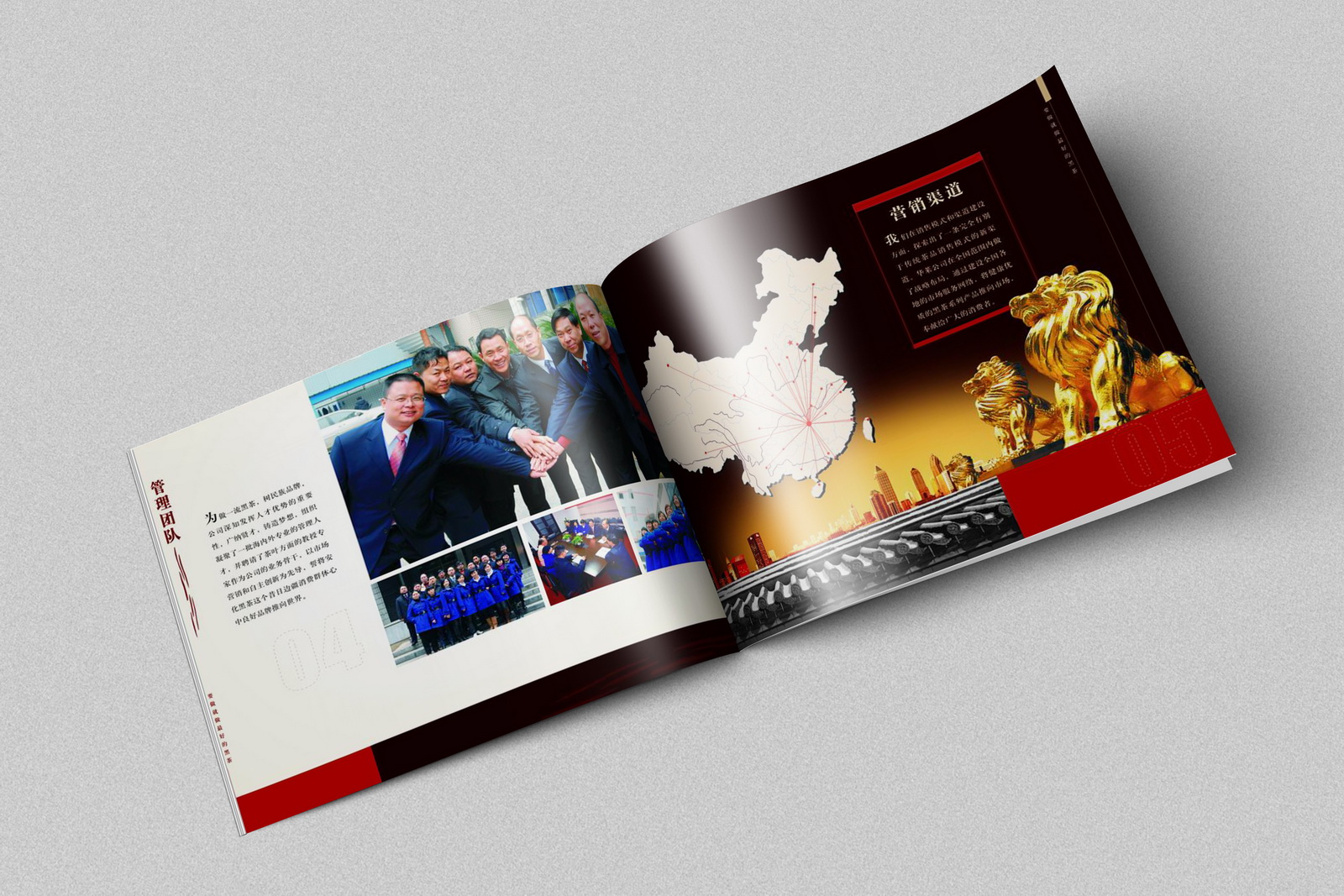 華萊生物畫冊設計