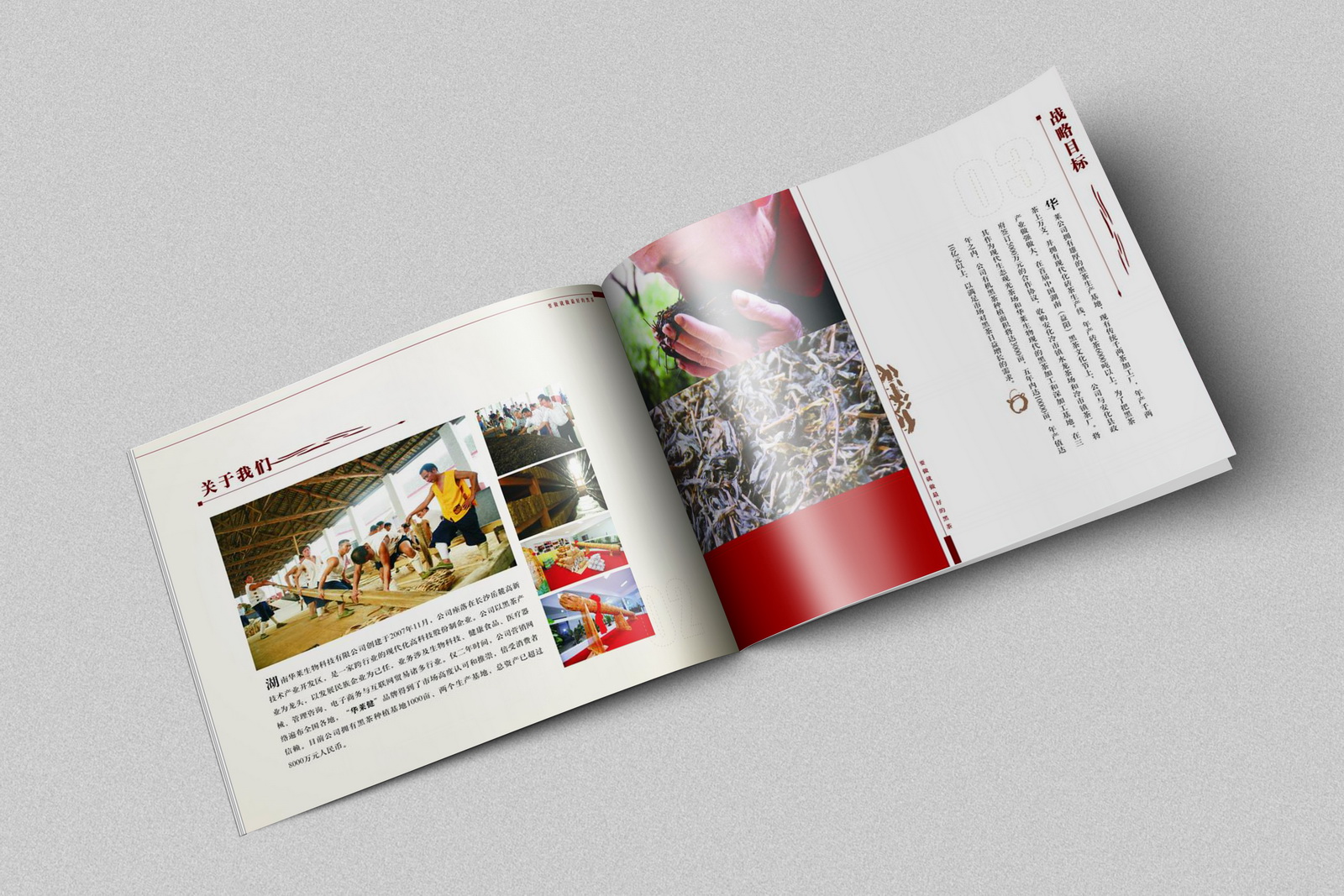 華萊生物畫冊設計