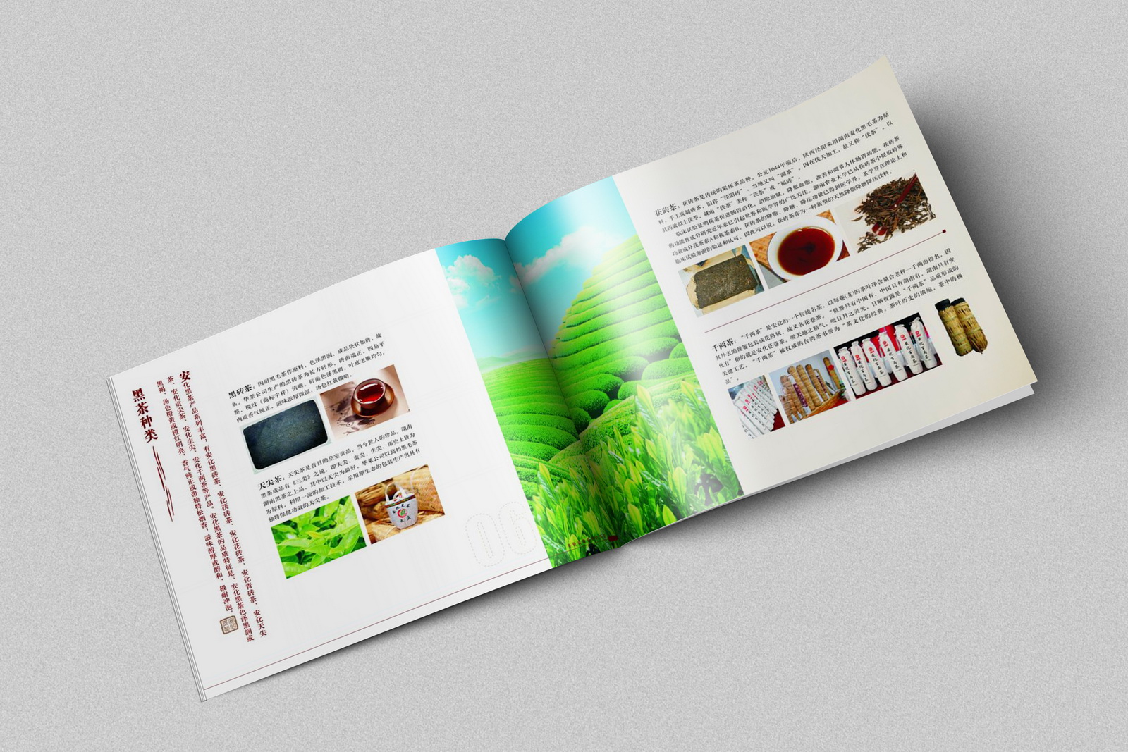 華萊生物畫冊設計