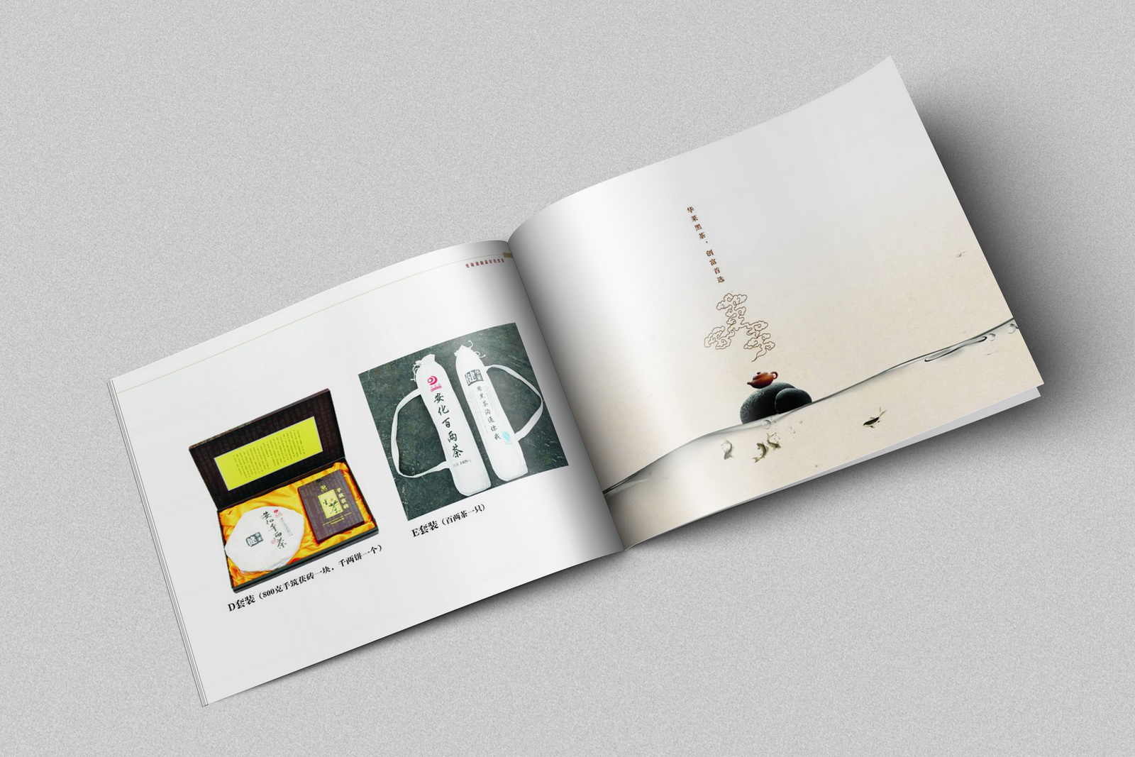 華萊生物畫冊設計